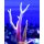 Seriatopora hystrix Bicolor - ChristusdornKoralle PinkGelb Small 3-5cm