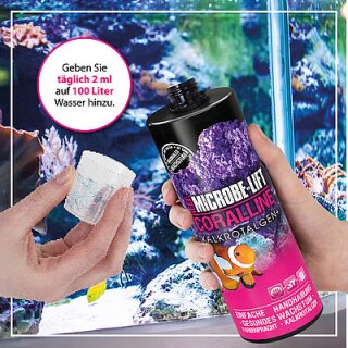 Microbe-Lift Coralline Algae Accelerator 473 mL