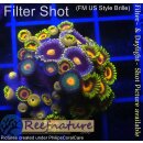 H1-R2-1 WYSIWYG - Zoanthus "Radioactive Green"
