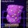 H4-R1-3 WYSIWYG - Chalice purple/Yellow
