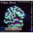 H6-R1-2 WYSIWYG - Platygyra sp,