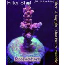4B5-8 WYSIWYG - Acropora CandyLand (Indonesien) Höhe...