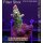 4B5-8 WYSIWYG - Acropora sp., Höhe 41mm