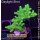 4B6-4 WYSIWYG - Acropora sp. IndoTischGelb Höhe 35mm