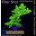 4B6-4 WYSIWYG - Acropora sp. IndoTischGelb Höhe 35mm