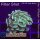 5LH1-3 WYSIWYG - Euphyllia sp. green