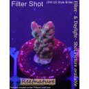 4B4-7 WYSIWYG - Acropora Merlin´s Staff, Höhe 25mm
