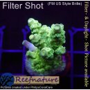 4B4-3 WYSIWYG - Acropora Florida Gelb, Höhe 41mm