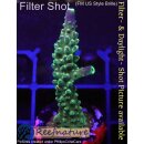 4B2-5 WYSIWYG - Acropora  Joker, Höhe 48mm