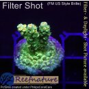4B1-8 WYSIWYG - Acropora Florida Gelb, Höhe 27mm
