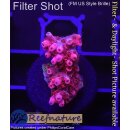 4B1-8 WYSIWYG - Acropora Red Planet Höhe 21mm