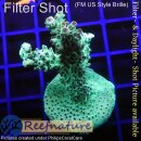 4B3-1 WYSIWYG - Acropora sp. Höhe 48mm