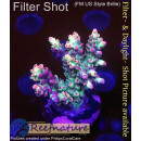 4B3-1 WYSIWYG -  Acropora strawberry shortcake, Höhe 37mm