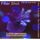 4B3-2 WYSIWYG - Acropora sp, Höhe 46mm