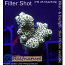 4B2-6 WYSIWYG - Acropora millepora, Höhe 34mm
