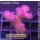 4B2-6 WYSIWYG - Stylophora Fiji Ultra Pink , Höhe 37mm