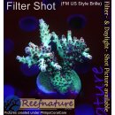 4B3-4 WYSIWYG - Acropora sp. Höhe 48mm
