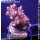 4B3-4 WYSIWYG - Acropora red Planet, Höhe 38mm