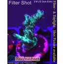 4B1-3 WYSIWYG - Acropora Electric Miyagi, Höhe 48mm