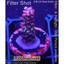 4B1-4 WYSIWYG - Acropora strawberry shortcake  Höhe...