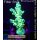 4B2-2 WYSIWYG - Acropora batunai blue Tips Höhe 44mm