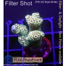 4B2-3 WYSIWYG - Acropora millepora gelb/gold Höhe 41mm