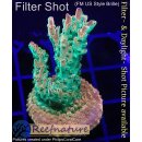 4C1-1 WYSIWYG - Acropora  Mango Garden  Höhe 41mm