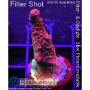 4C1-3 WYSIWYG - Acropora medusa Red Höhe 44mm