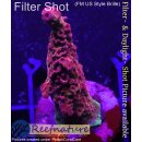 4C1-3 WYSIWYG - Acropora pikachu Höhe 30mm