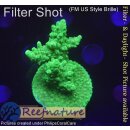 4C2-1 WYSIWYG - Acropora sp. Table, Höhe  43mm