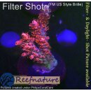 4C2-2 WYSIWYG - Acropora red Planet Höhe 35mm