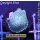 U2-R1-1 WYSIWYG - Discosoma sp. greenblue