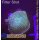 U2-R1-1 WYSIWYG - Discosoma sp. greenblue