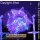 U2-R1-2 WYSIWYG - Discosoma coeruleus - Jawbreaker "Ice -Blue Metallic"