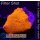 H2-R2-4 WYSIWYG - Discosoma ultraRED