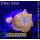 U2-R1-5 WYSIWYG - Discosoma RED