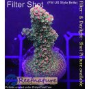 4C4-2 WYSIWYG - Acropora Red Staghorn  Höhe 45mm