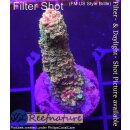 4C6-1 WYSIWYG - Acropora Red Staghorn, Höhe 42mm