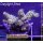 4C7-1 WYSIWYG -  Montipora Crazy T "gelb"