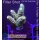 4C7-2 WYSIWYG -  Montipora Crazy T "gelb"