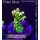 4C7-4 WYSIWYG -  Montipora grafted Grade_A