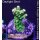 4C7-4 WYSIWYG -  Montipora grafted Grade_A