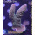4A4-2 WYSIWYG - Acropora spathulata. Höhe 56mm