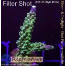 4A5-4 WYSIWYG - Acropora Joker, Höhe 47mm