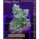 4A6-1 WYSIWYG - Acropora hummilis,  Höhe 46mm