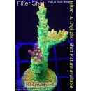 4A6-2 WYSIWYG - Acropora Mango Garden Höhe 57mm
