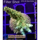 4B2-4 WYSIWYG - Acropora sp. Höhe 64mm