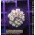 4D6-2 WYSIWYG - Galaxea GOLD small