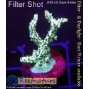 4A6-5 WYSIWYG - Acropora Mango Garden Höhe 33mm