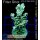 4A6-5 WYSIWYG - Acropora sp. table, Höhe 54mm